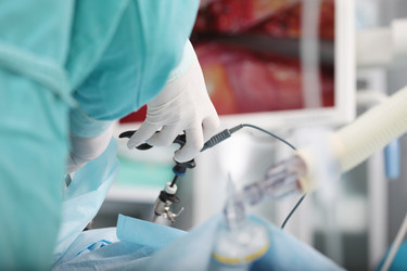 Similar image 22590425