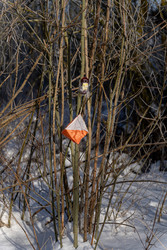 Similar image 22574973