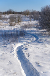 Similar image 22574975