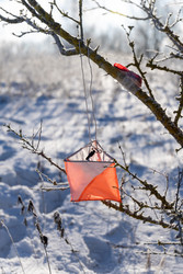 Similar image 22574978