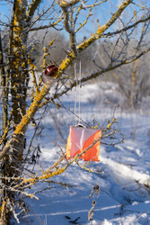 Similar image 22574981