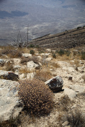 Similar image 22575129