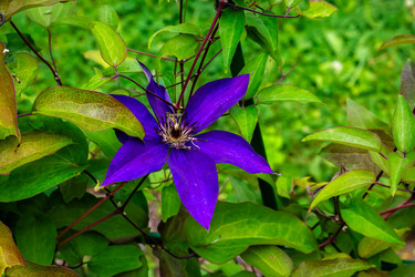 Similar image 22581032