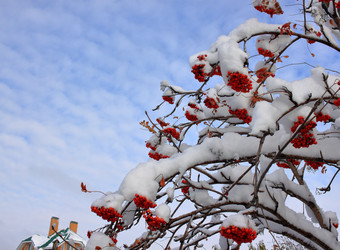 Similar image 22577633