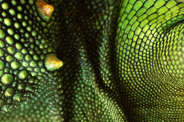 Similar image 22590367