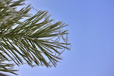 Similar image 22577634