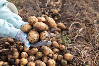 Similar image 22590386