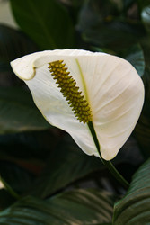 Similar image 22591298