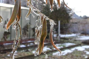 Similar image 22577635