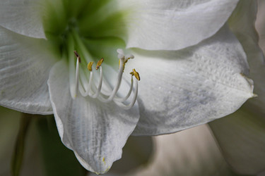 Similar image 22594683