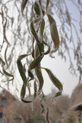 Similar image 22577757