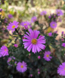 Similar image 22585244