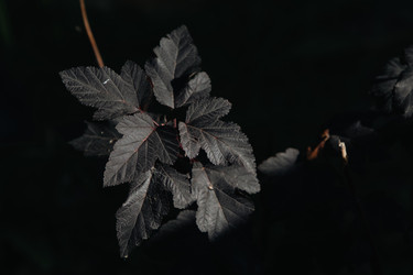 Similar image 22577521