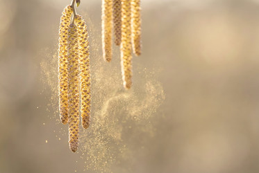 Similar image 22577547