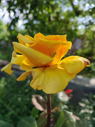 Similar image 22582017