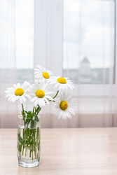 Similar image 22584030