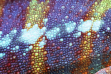 Similar image 22590416