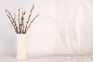 Similar image 22577429