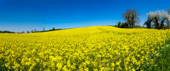 Similar image 22578760