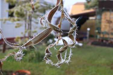 Similar image 22577759