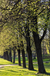 Similar image 22578782