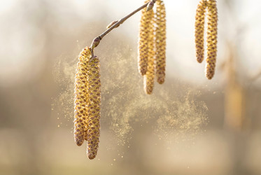 Similar image 22577548