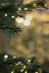 Similar image 22591027