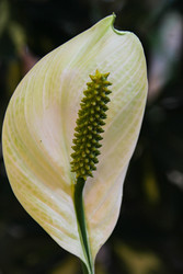 Similar image 22591302