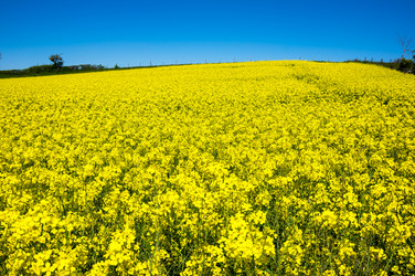 Similar image 22578785