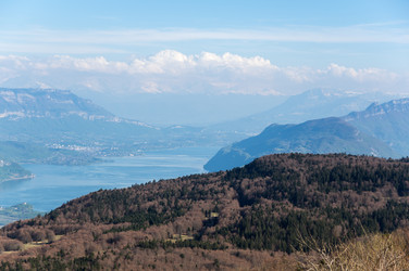 Similar image 22578806