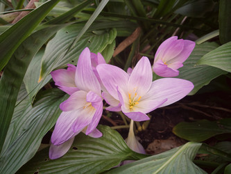 Similar image 22577317