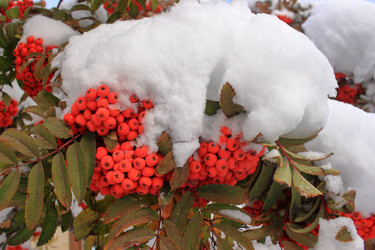 Similar image 22577772