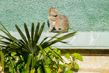 Similar image 22594044