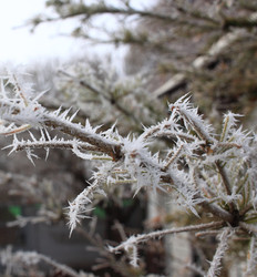 Similar image 22577636