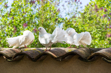 Similar image 22578630