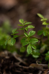 Similar image 22580189