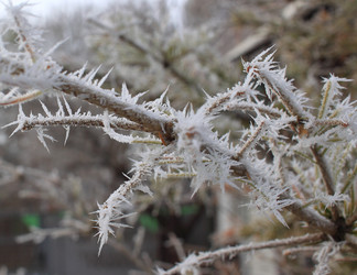 Similar image 22577637