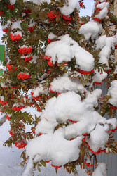 Similar image 22577638