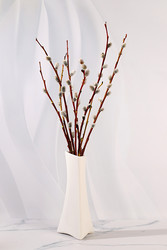 Similar image 22577422