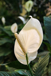 Similar image 22591303