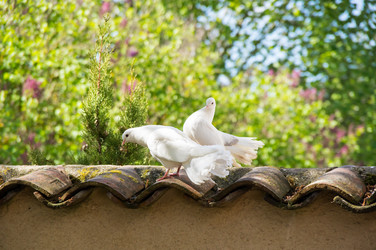 Similar image 22578675