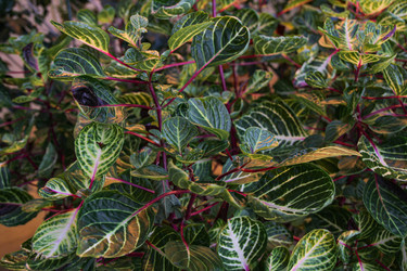 Similar image 22591306