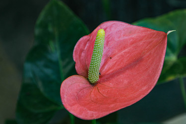 Similar image 22585341