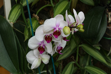 Similar image 22594700