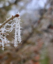 Similar image 22577762