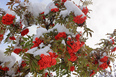 Similar image 22577763