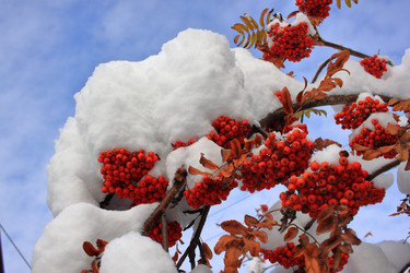 Similar image 22577764