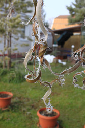 Similar image 22577765