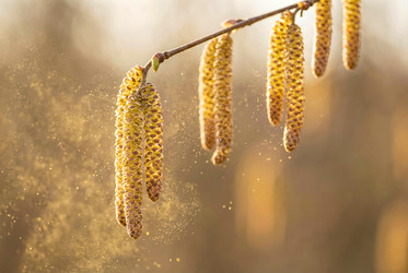 Similar image 22577549