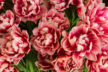 Similar image 22585342